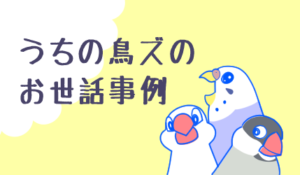 うちの鳥たちのお世話事例