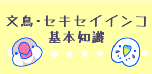 文鳥・セキセイインコ 基本知識